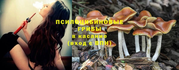 ALPHA PVP Дмитриев